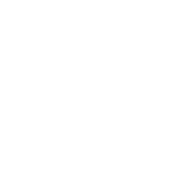 anti-ragging